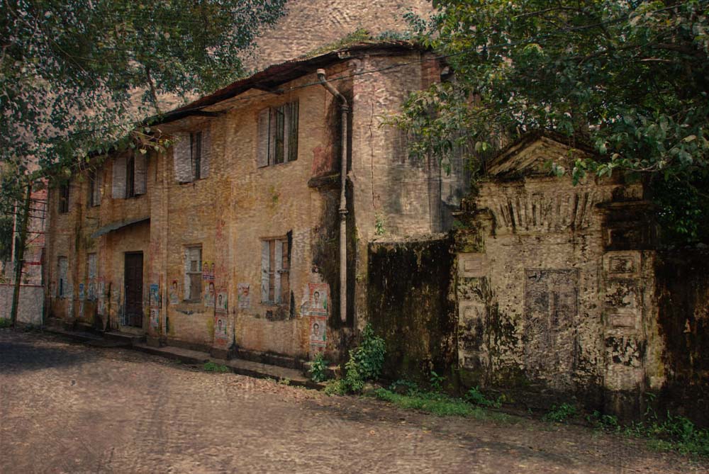 The Summer House