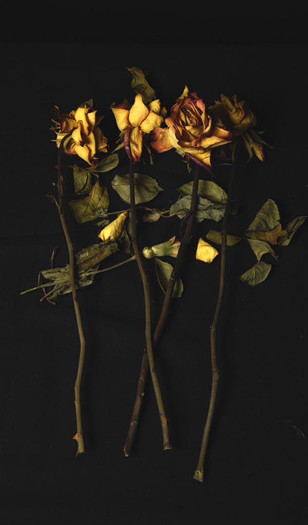 three flowers bit lighter