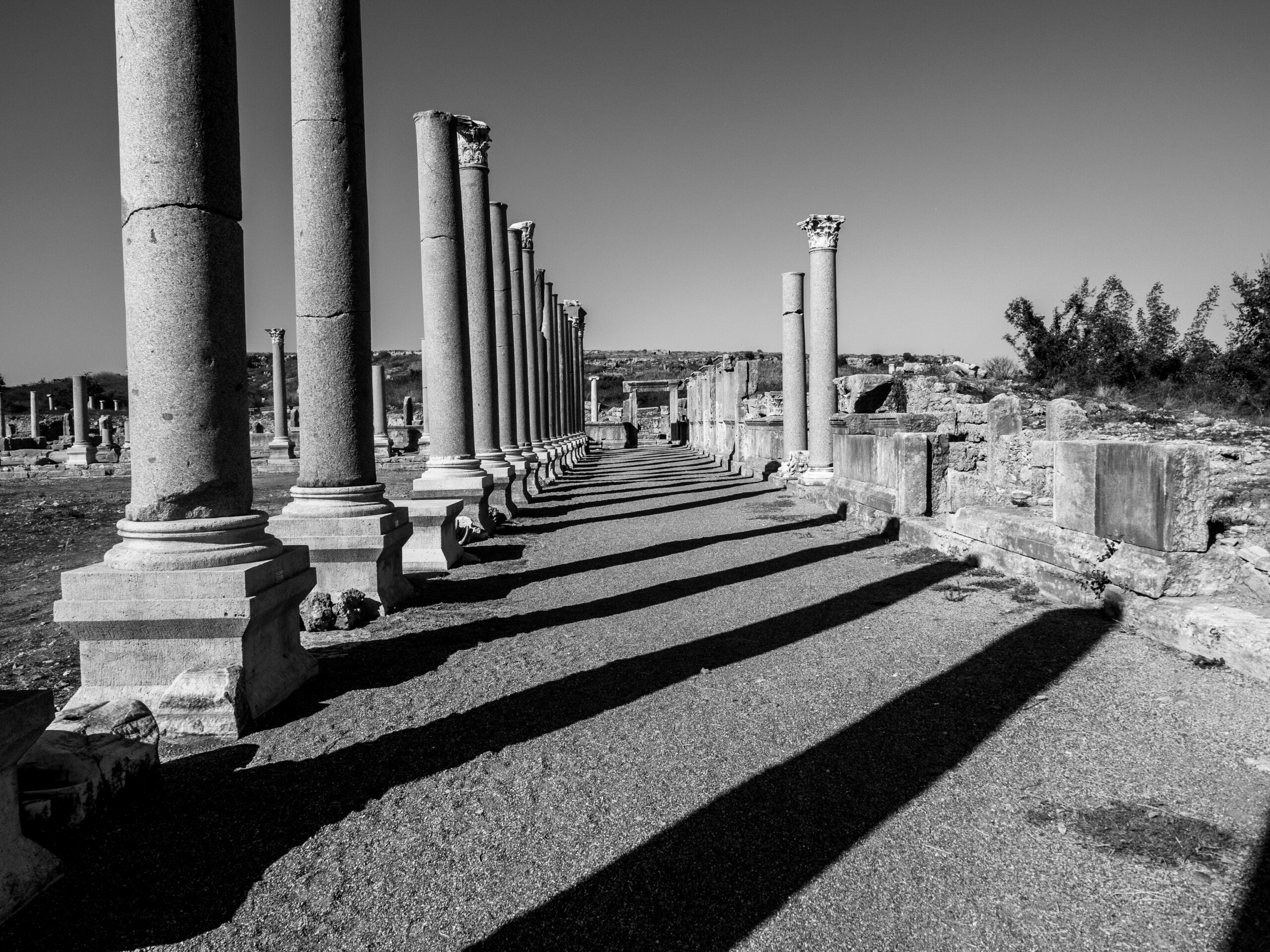 OLYMPUS, Turkey